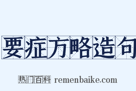 要症方略造句是什么意思的图片